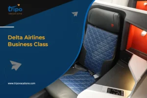 Delta Airlines Business Class