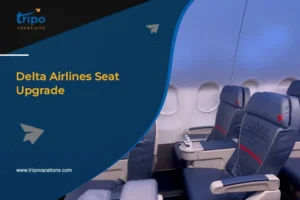 Delta Airlines Seat Upgrade