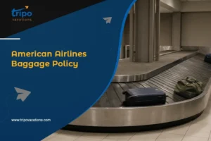American Airlines Baggage Policy